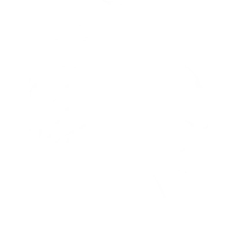 لوگو سفید آداک